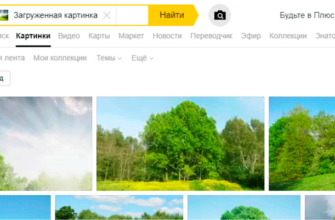 Как выбрать игровой монитор