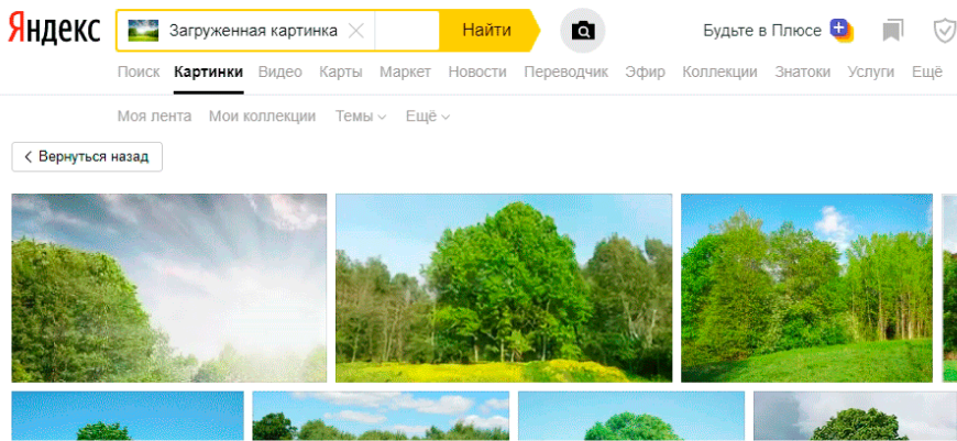 11 лучших поисковых систем по картинкам